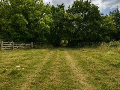 Picture 48